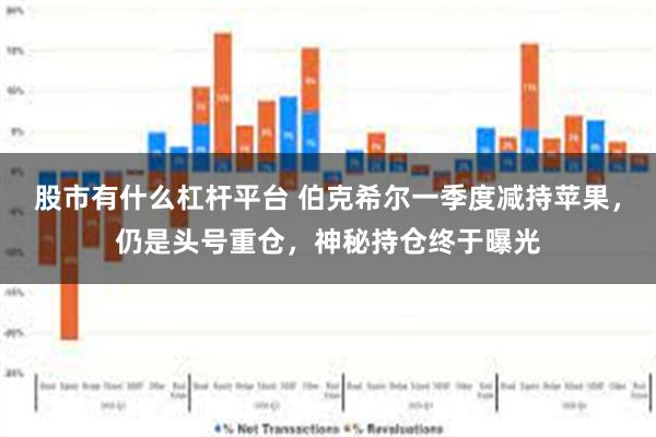 股市有什么杠杆平台 伯克希尔一季度减持苹果，仍是头号重仓，神秘持仓终于曝光