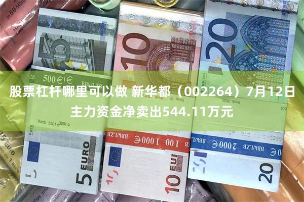 股票杠杆哪里可以做 新华都（002264）7月12日主力资金净卖出544.11万元