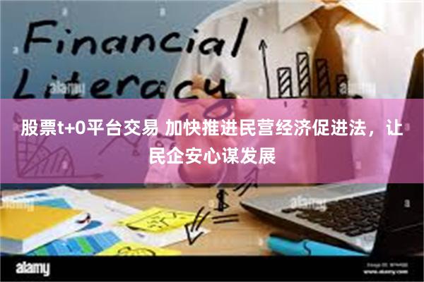 股票t+0平台交易 加快推进民营经济促进法，让民企安心谋发展